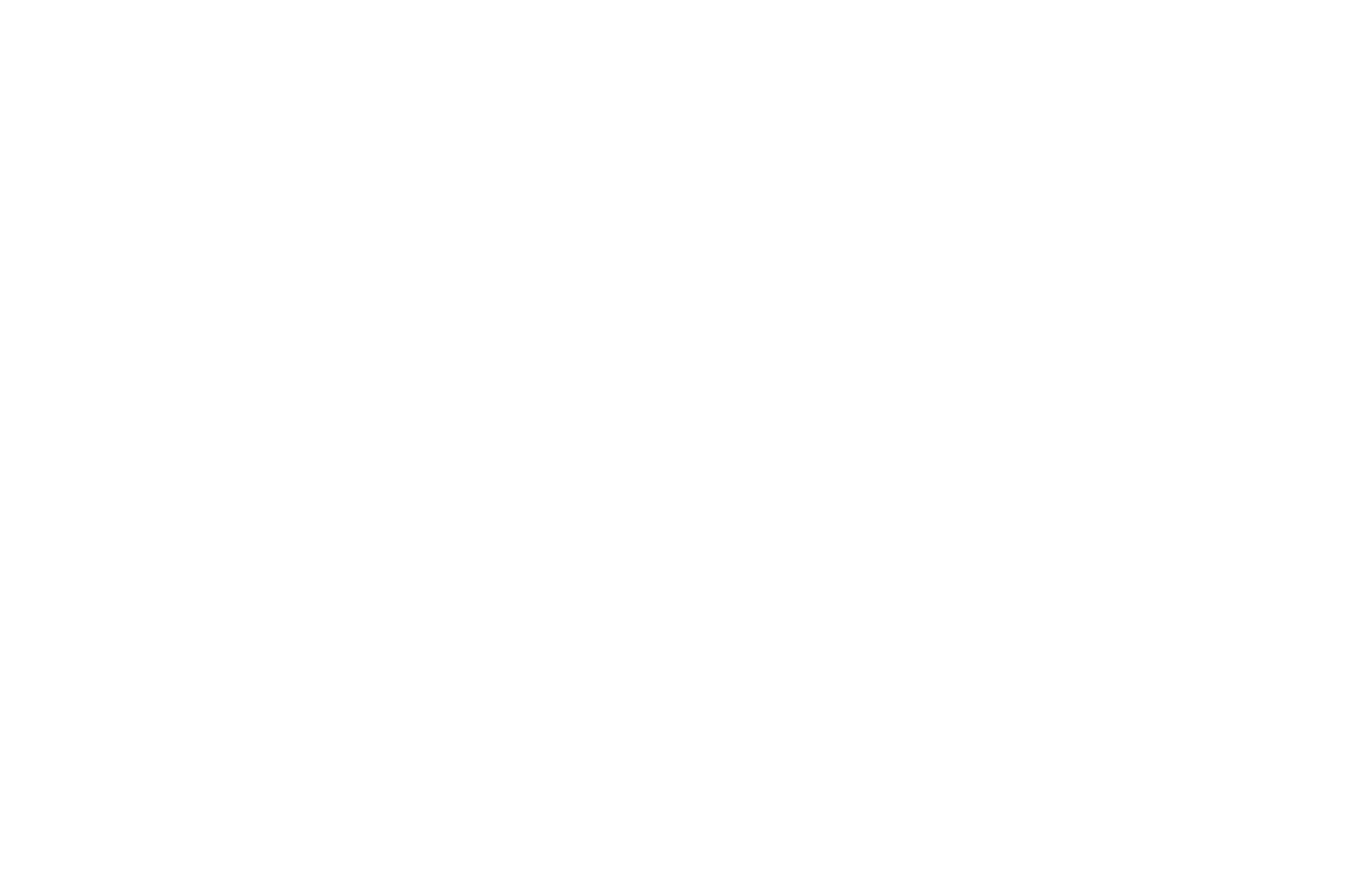 Skydog