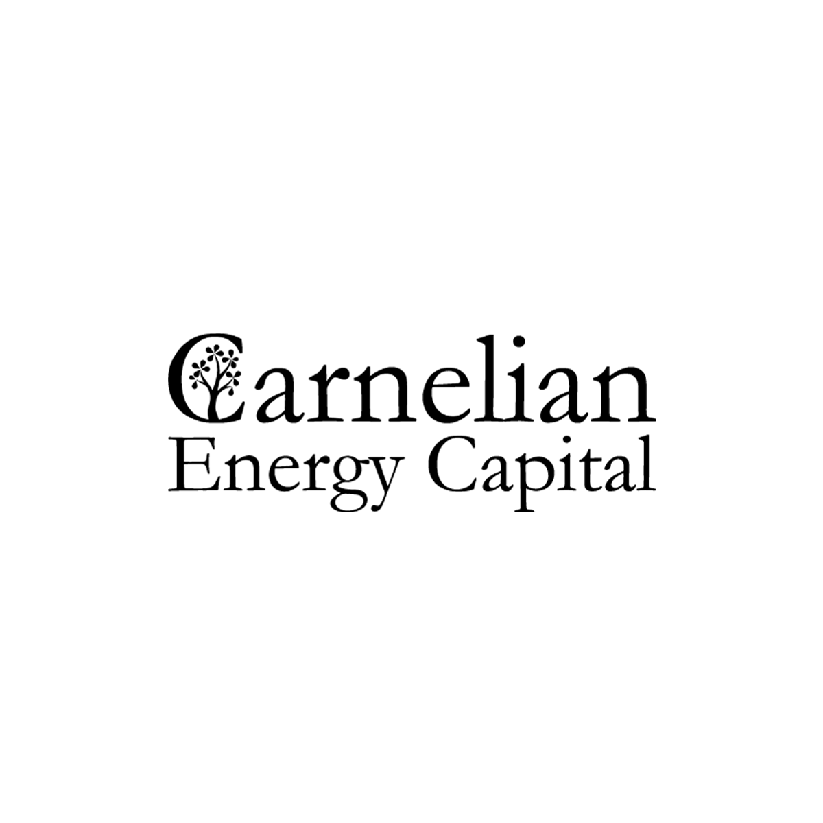 Carnelian Energy Capital